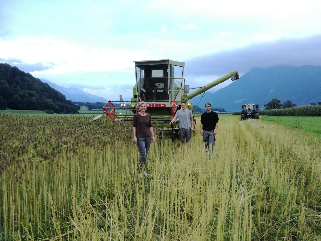 Familie am Feld